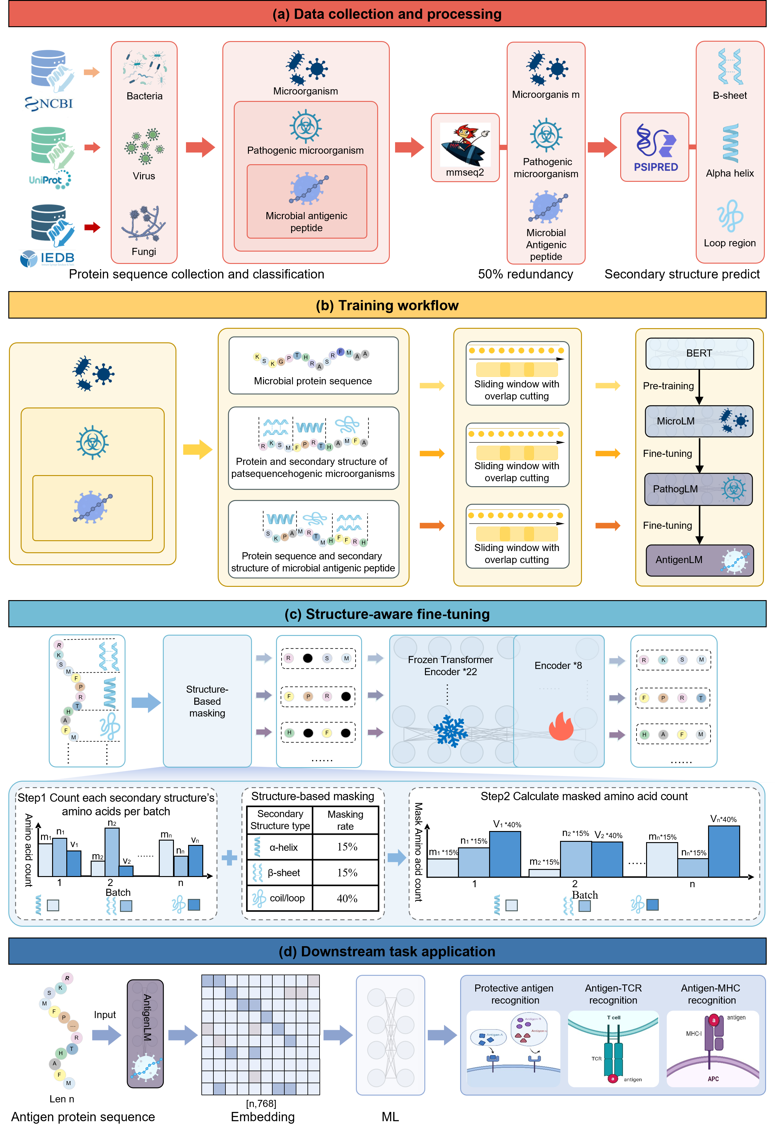 Figure 1: Hierarchical training pipeline for AntigenLM