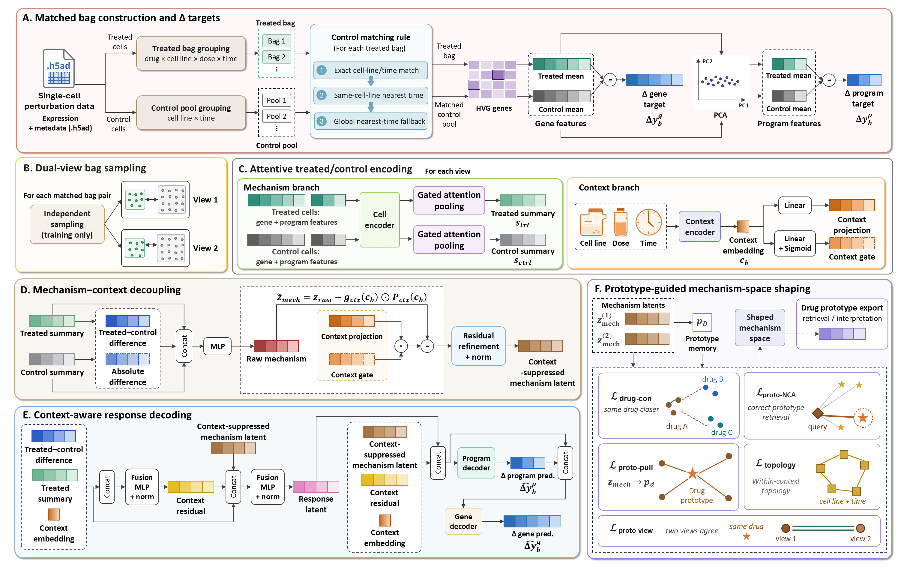 DECANT workflow