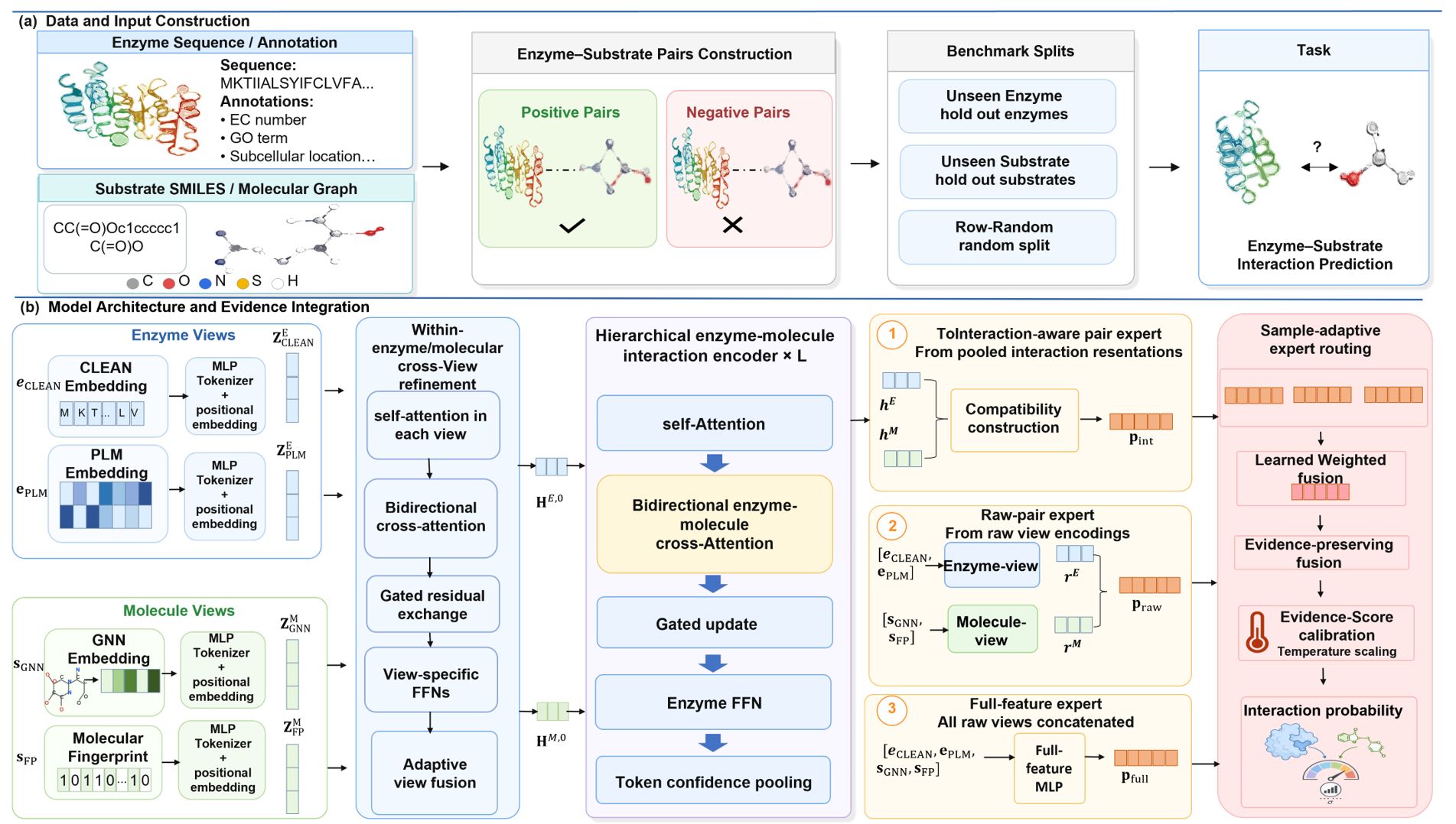 AIMS-ESI model architecture