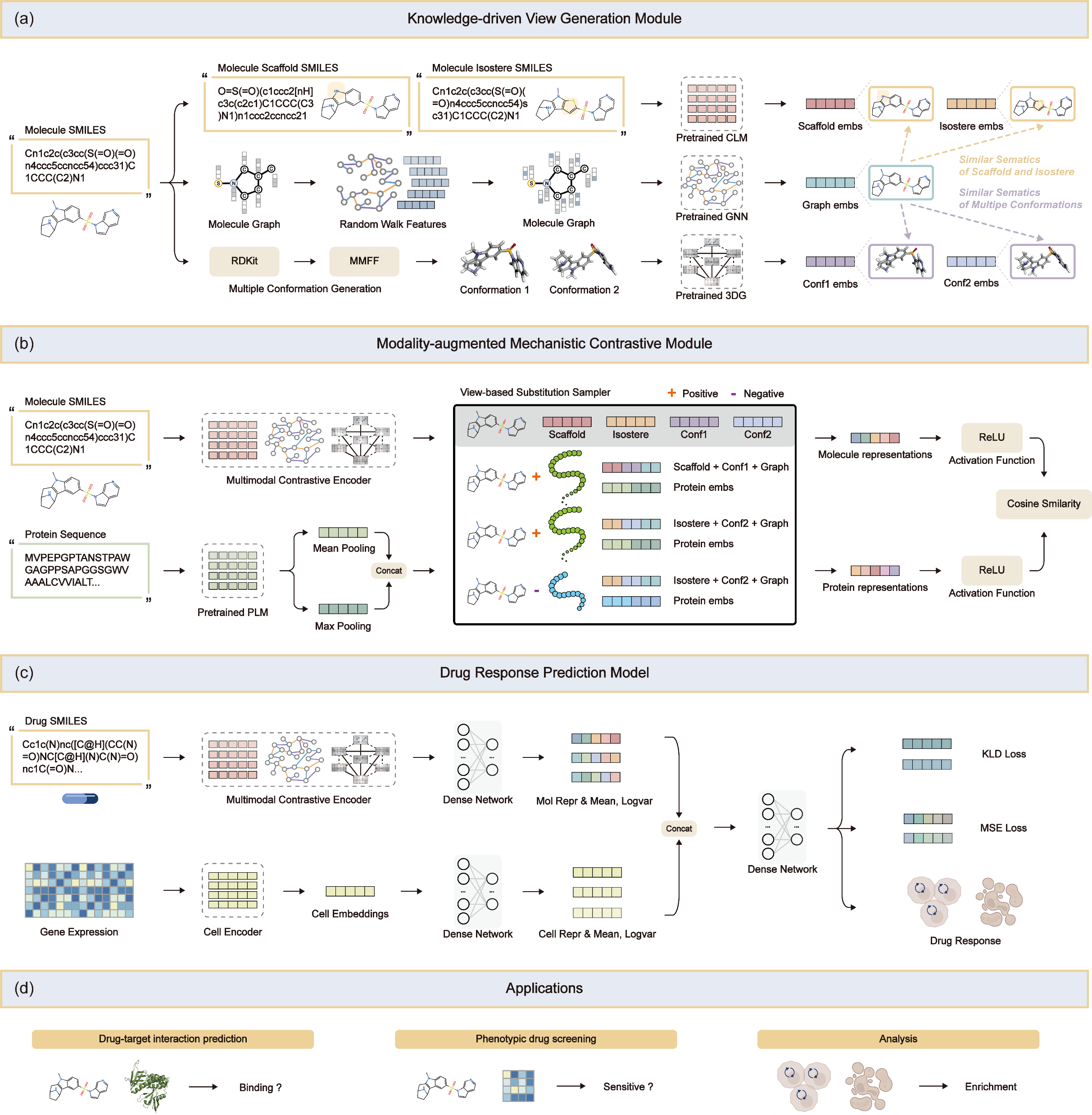 KMVF model architecture