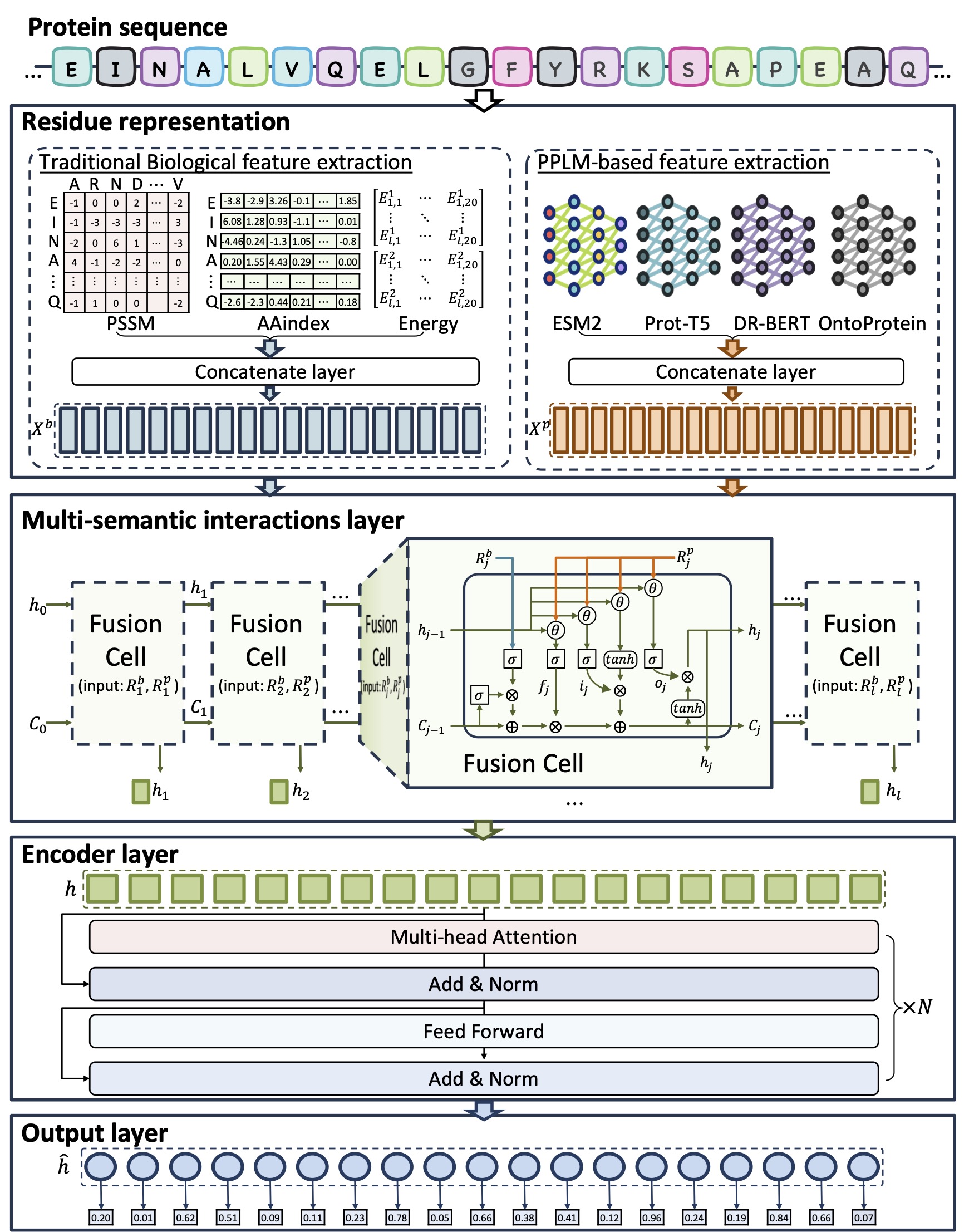 FusionEncoder Model Architecture