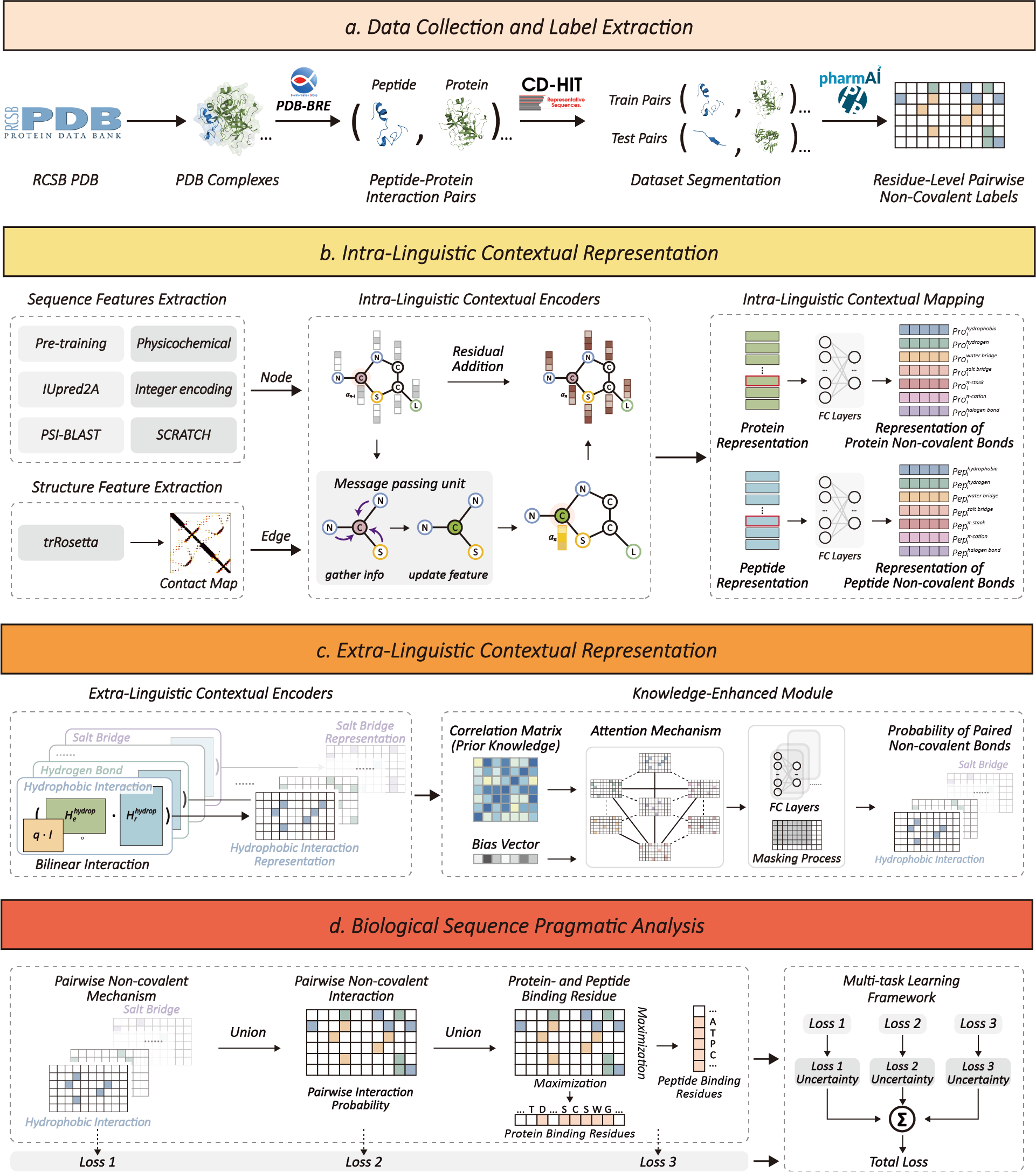 KEIPA Model Architecture