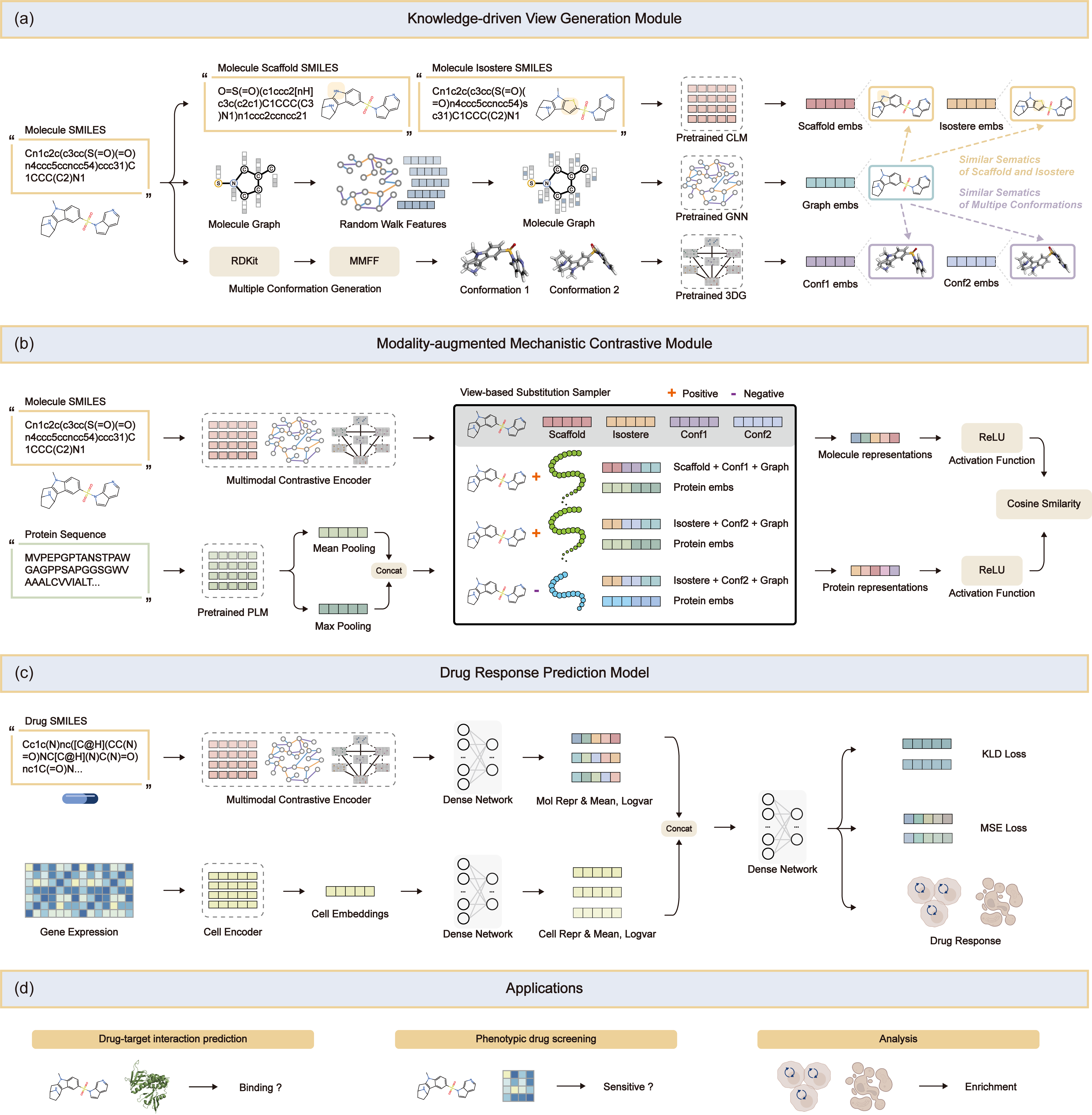 KMVF Model Architecture