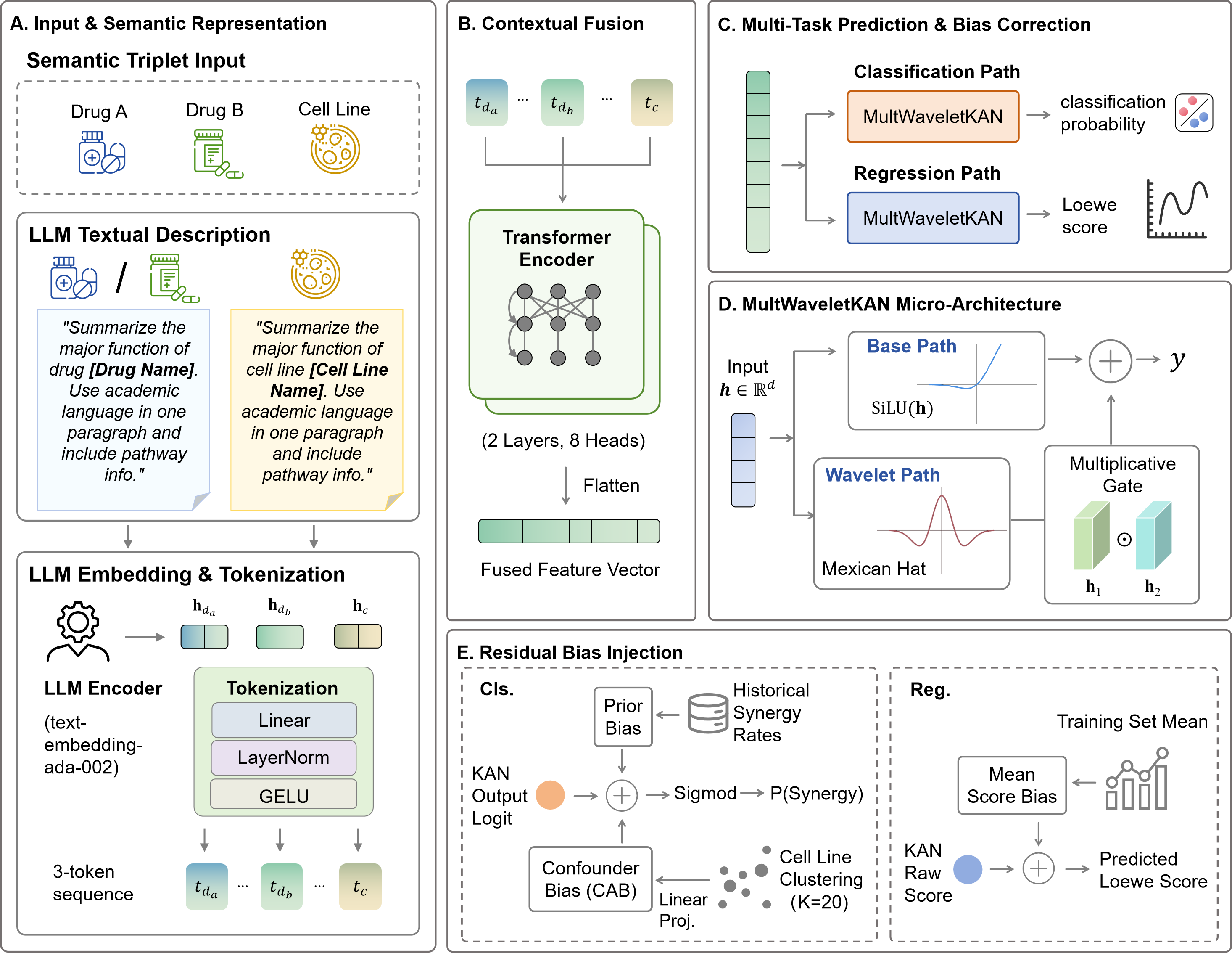KanSynLM Architecture