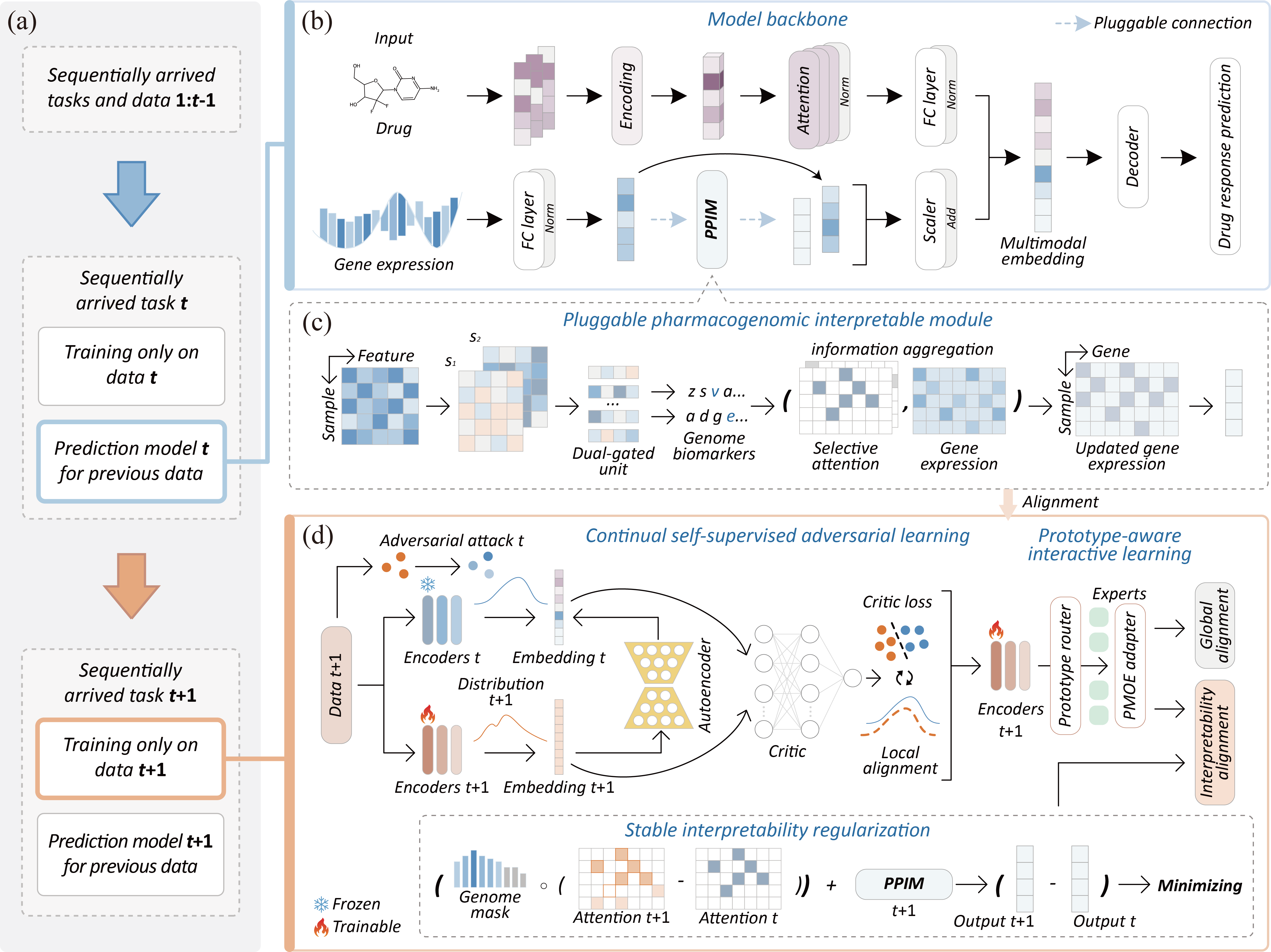 MCSA Model Architecture