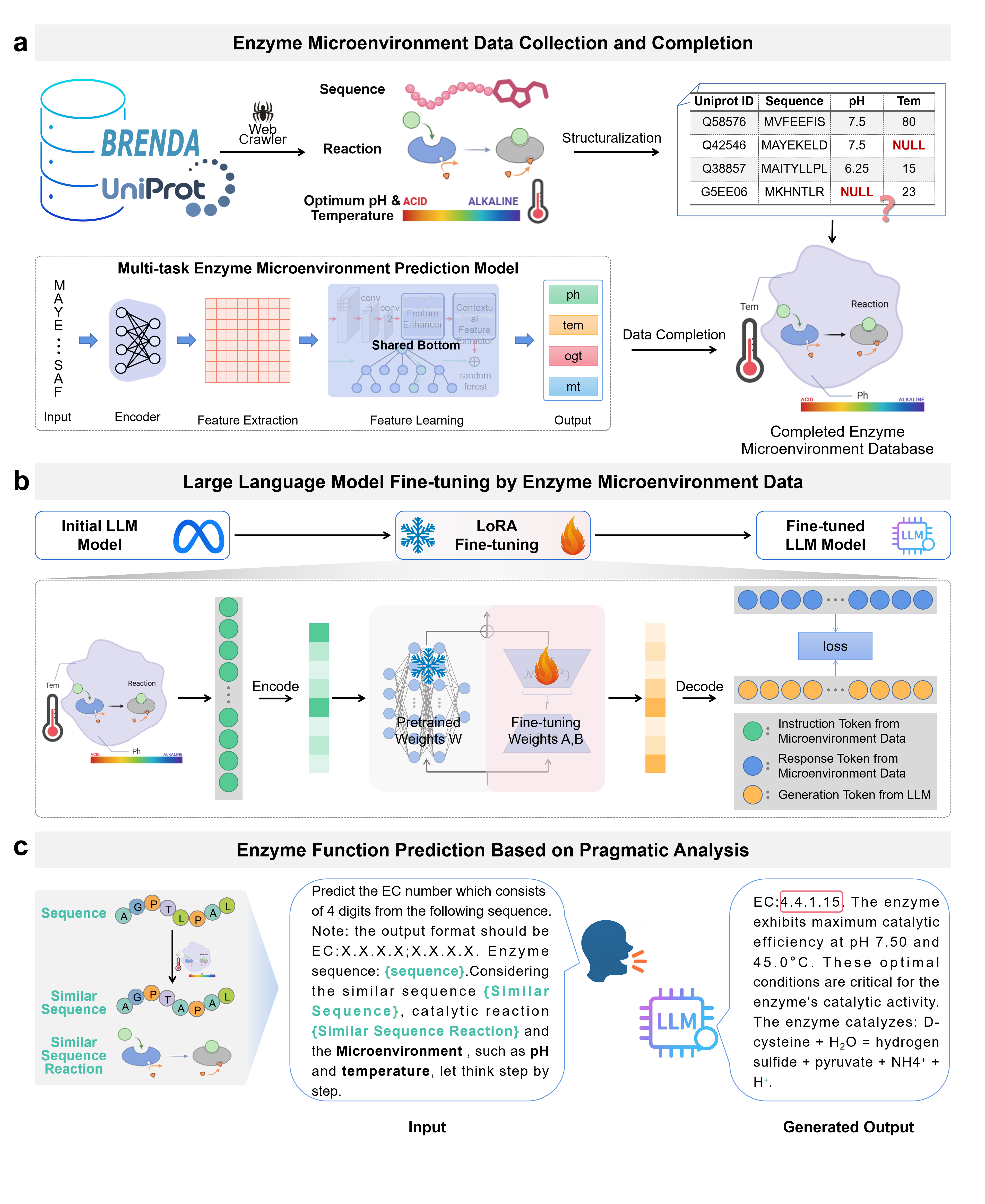 MPA-EC Model Architecture