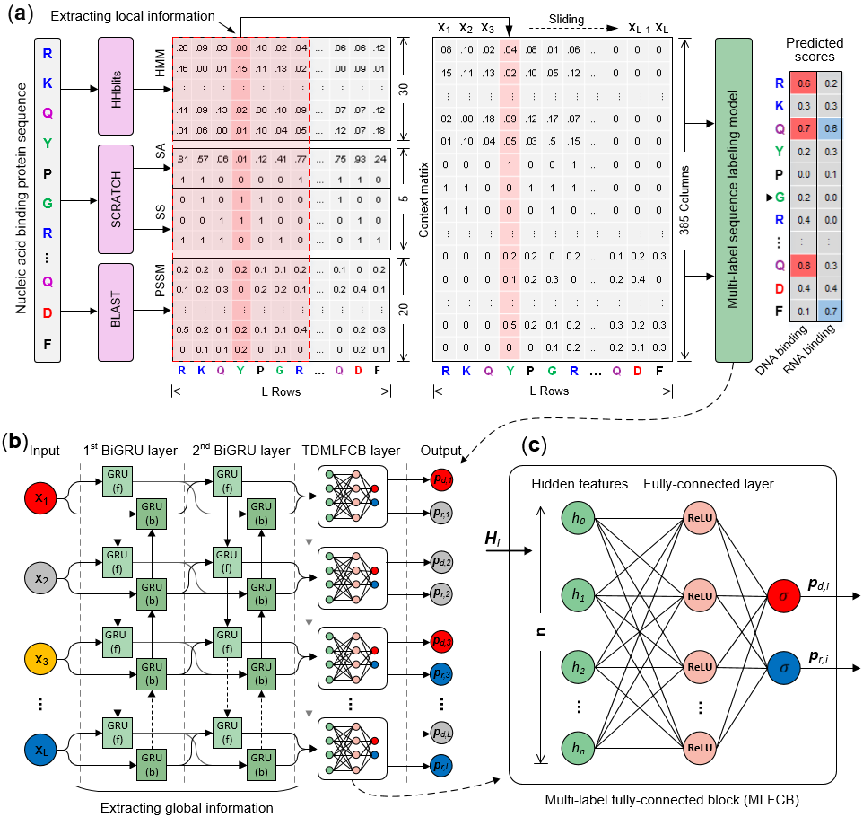 Architecture of NCBRPred