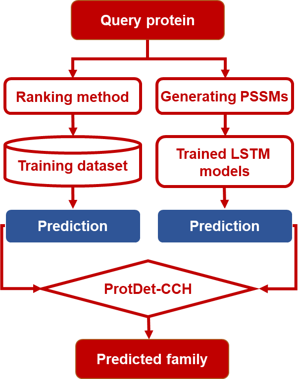 The flowcart of ProtDet-CCH